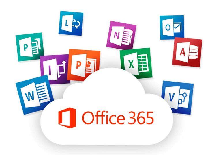 Office 1 Año
